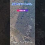 Thumbnail of new posts 000